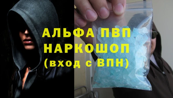 шишки Беломорск