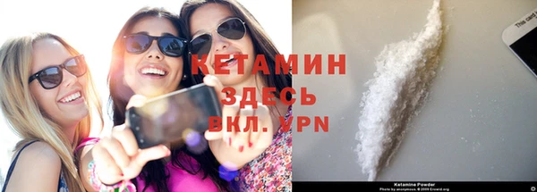 шишки Беломорск