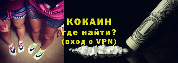 шишки Беломорск