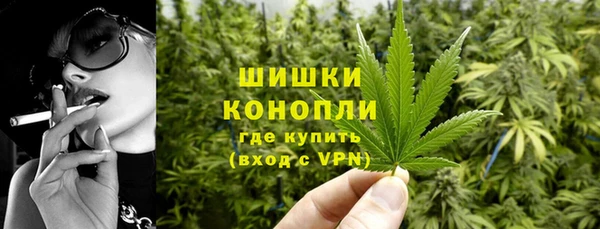шишки Белоозёрский