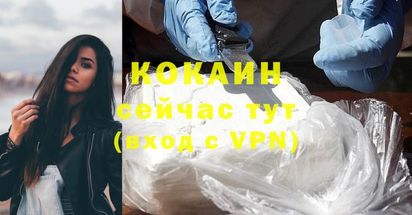 шишки Беломорск