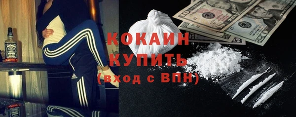 шишки Белоозёрский