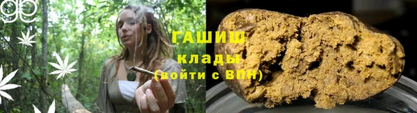 шишки Белоозёрский