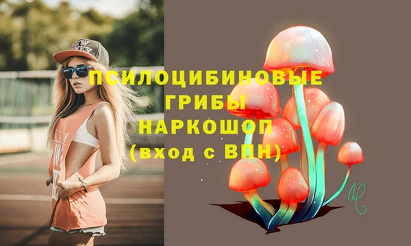 a pvp Богородицк